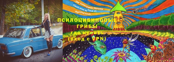 хмурый Надым