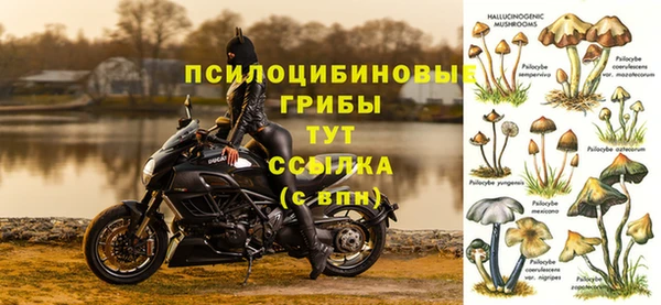 экстази Алагир