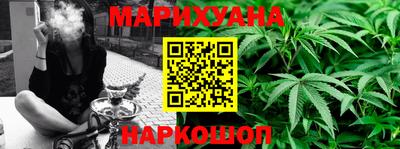 индика Гагарин