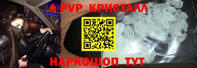эйфоретик Гай
