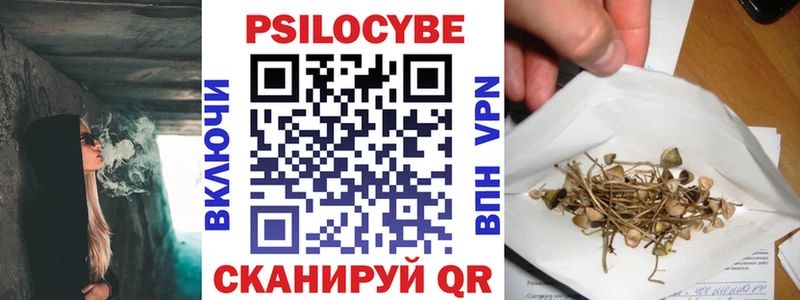 Галлюциногенные грибы мицелий  где купить   Кириши 