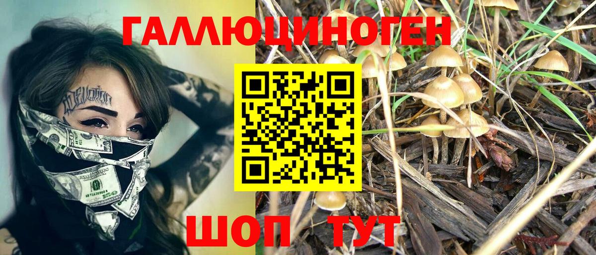 продажа наркотиков  Галлюциногенные грибы прущие грибы  Вход с VPN  Кириши  Псилоцибиновые грибы мухоморы 
